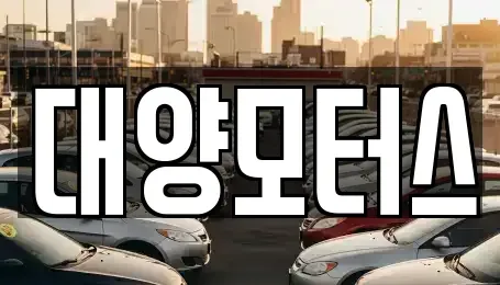 전남 화순군 동면 중고차 전문 대양모터스