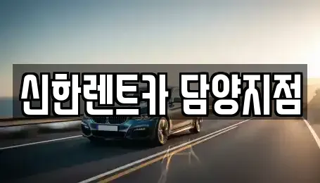전라남도 담양군 무정면 렌트카 전문 신한렌트카 담양지점