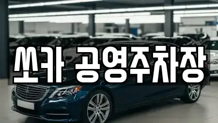 전라남도 담양군 무정면 렌트카 전문 쏘카 공영주차장