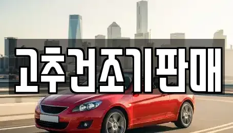 전라남도 담양군 무정면 중고차 전문 고추건조기판매