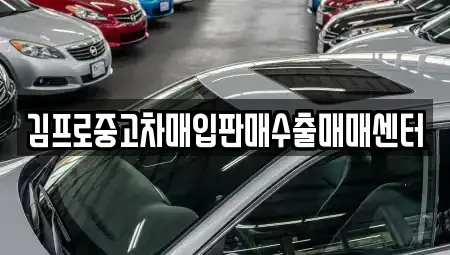 전라남도 담양군 무정면 중고차매입 전문 김프로중고차매입판매수출매매센터