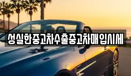 전라남도 담양군 무정면 중고차매입 전문 성실한중고차수출중고차매입시세