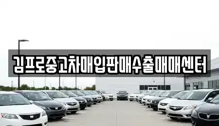 전라남도 담양군 월산면 중고차매입 전문 김프로중고차매입판매수출매매센터