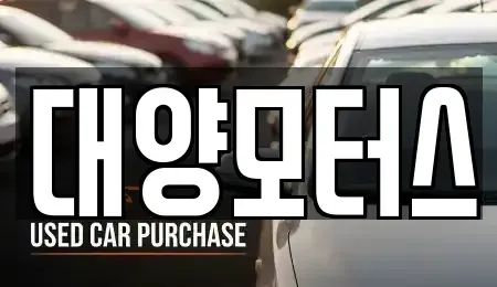 전라남도 담양군 창평면 중고차 전문 대양모터스