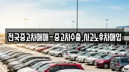 전라남도 목포시 수강동1가 중고차매매 전문 전국중고차매매-중고차수출,사고노후차매입