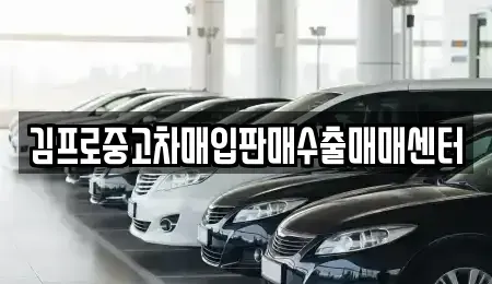 전라남도 목포시 수강동1가 중고차매입 전문 김프로중고차매입판매수출매매센터