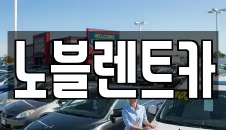 전라남도 무안군 몽탄면 렌트카 전문 노블렌트카