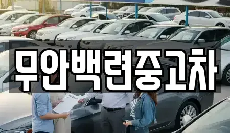 전라남도 무안군 몽탄면 중고차매매 전문 무안백련중고차