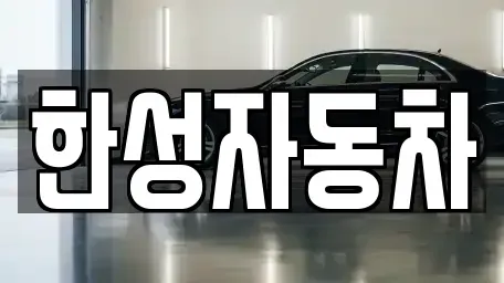 전라남도 무안군 몽탄면 중고차매매 전문 한성자동차