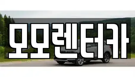 전라남도 여수시 미평동 렌트카 전문 모모렌터카