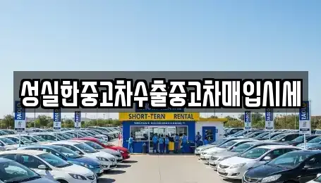 전라남도 화순군 한천면 중고차매입 전문 성실한중고차수출중고차매입시세