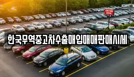 전라남도 화순군 한천면 중고차매입 전문 한국무역중고차수출매입매매판매시세