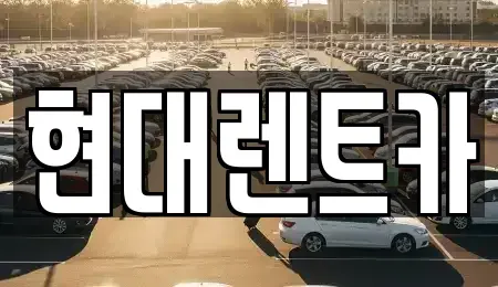 전북 군산시 동흥남동 렌트카 전문 현대렌트카