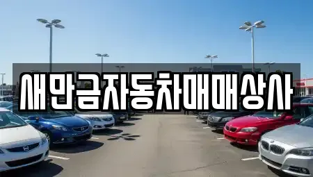전북 군산시 동흥남동 중고차 전문 새만금자동차매매상사