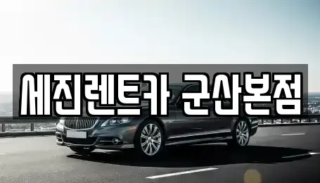 전북 군산시 미장동 장기렌트카 전문 세진렌트카 군산본점