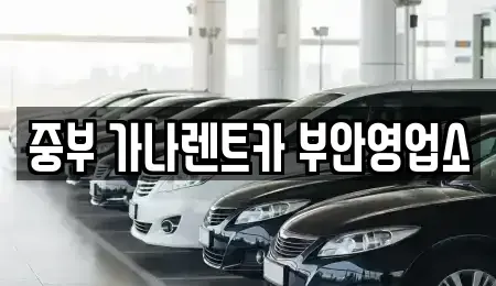전북 부안군 백산면 렌트카 전문 중부 가나렌트카 부안영업소