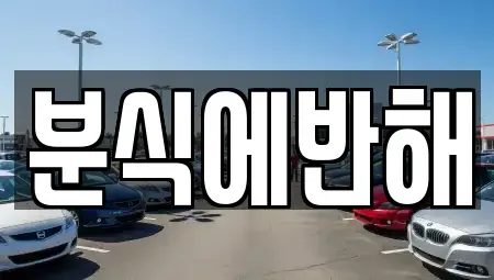 전북 전주시 덕진구 강흥동 중고차 전문 분식에반해
