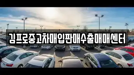 전북 전주시 완산구 중앙동2가 중고차매입 전문 김프로중고차매입판매수출매매센터