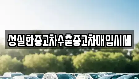 전북 전주시 완산구 중앙동2가 단기렌트카,중고차매입,중고차매매,중고차,렌트카,장기렌트카