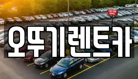 전북 정읍시 연지동 렌트카 전문 오뚜기렌트카
