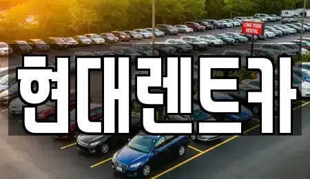 전북특별자치도 군산시 개정동 렌트카 전문 현대렌트카