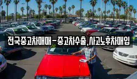 전북특별자치도 군산시 수송동 중고차 전문 전국중고차매매-중고차수출,사고노후차매입