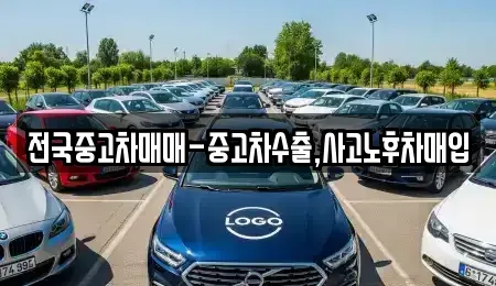 전북특별자치도 김제시 명덕동 중고차 전문 전국중고차매매-중고차수출,사고노후차매입