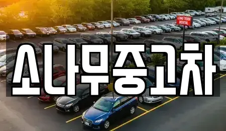 전북특별자치도 김제시 서암동 중고차 전문 소나무중고차