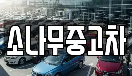 전북특별자치도 김제시 서암동 중고차 전문 소나무중고차