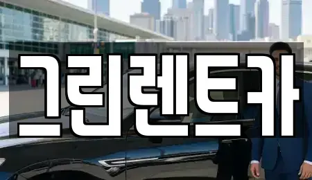 전북특별자치도 익산시 인화동2가 렌트카 전문 그린렌트카