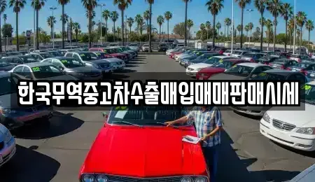 전북특별자치도 익산시 인화동2가 중고차 전문 한국무역중고차수출매입매매판매시세