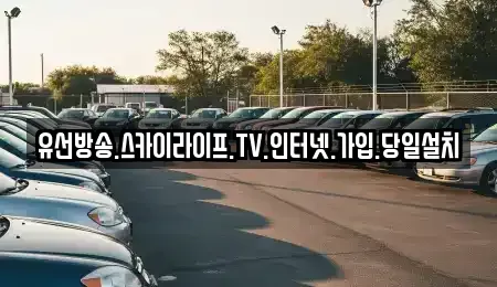 전북특별자치도 장수군 번암면 중고차매입 전문 유선방송.스카이라이프.TV.인터넷.가입.당일설치
