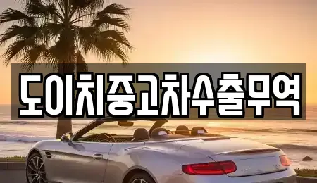 전북특별자치도 전주시 완산구 다가동2가 중고차 전문 도이치중고차수출무역