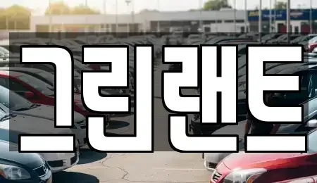 전북특별자치도 전주시 완산구 평화동2가 렌트카 전문 그린랜트