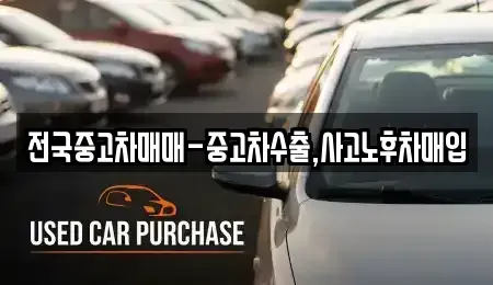전북특별자치도 전주시 완산구 평화동3가 중고차매입 전문 전국중고차매매-중고차수출,사고노후차매입