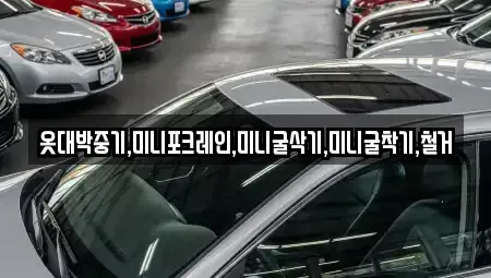 전북특별자치도 진안군 백운면 중고차 전문 옷대박중기,미니포크레인,미니굴삭기,미니굴착기,철거