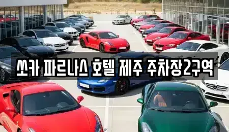 제주 서귀포시 렌트카 전문 쏘카 파르나스 호텔 제주 주차장2구역