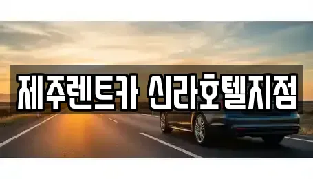 제주 서귀포시 렌트카,단기렌트카,장기렌트카,중고차,중고차매매,중고차매입