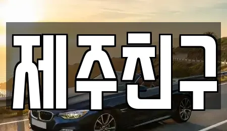 제주 서귀포시 렌트카 전문 제주친구