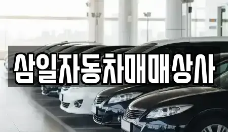 제주 서귀포시 중고차 전문 삼일자동차매매상사