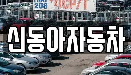 제주 서귀포시 중고차 전문 신동아자동차