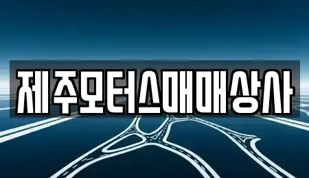 제주 서귀포시 중고차 전문 제주모터스매매상사