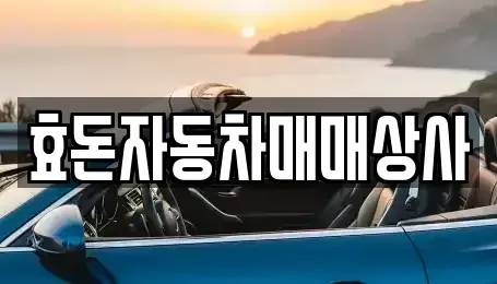 제주 서귀포시 중고차 전문 효돈자동차매매상사