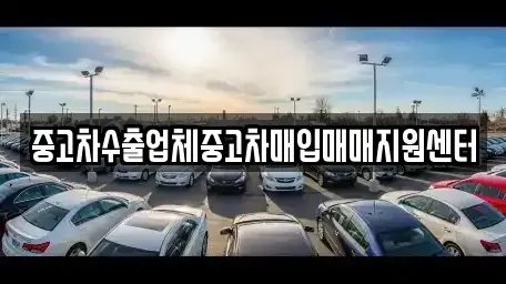 제주 서귀포시 중고차매입 전문 중고차수출업체중고차매입매매지원센터