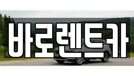 제주 제주시 도남동 렌트카 전문 바로렌트카