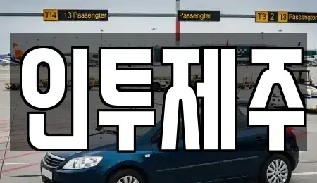 제주 제주시 도남동 렌트카 전문 인투제주