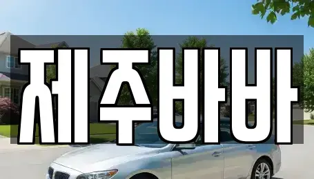 제주 제주시 도남동 렌트카 전문 제주바바