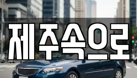 제주 제주시 도남동 렌트카 전문 제주속으로
