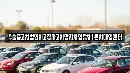 제주 제주시 도남동 중고차매입 전문 수출중고차법인차고장사고차망자차압류차1톤차매입센터