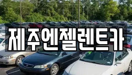 제주 제주시 애월읍 렌트카 전문 제주엔젤렌트카